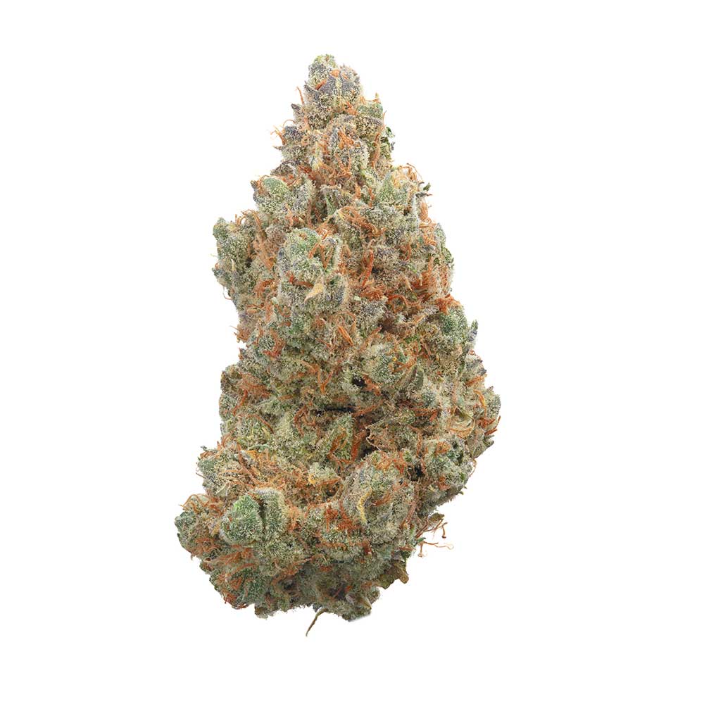 Everglades OG 3